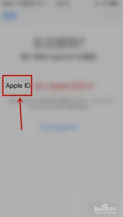 苹果手机怎么验证id苹果手机XLID怎么从新验证-第2张图片-太平洋在线下载