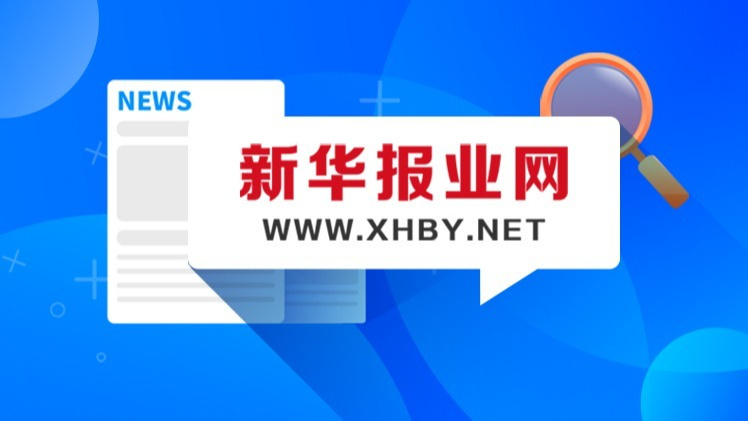 新闻客户端容量多大新闻客户端建设重要性-第2张图片-太平洋在线下载