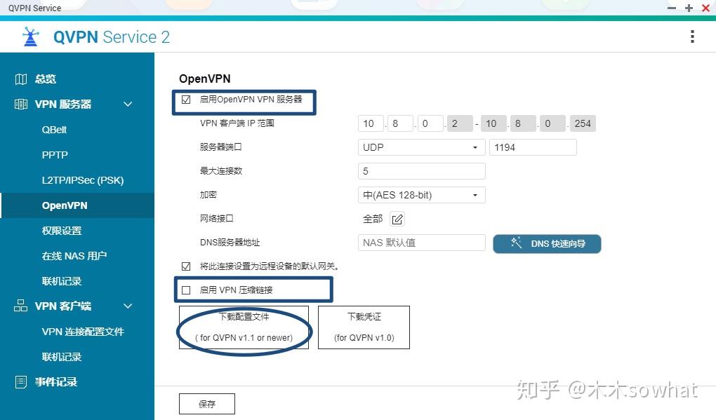 包含openvpn客户端使用的词条