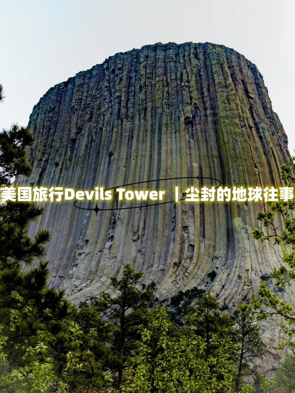 tower手机版客户端knock手机端无法登录-第2张图片-太平洋在线下载