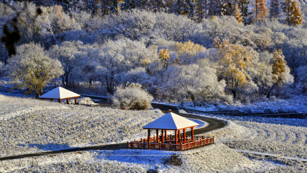 长白山客户端长白山滑雪场官网-第2张图片-太平洋在线下载