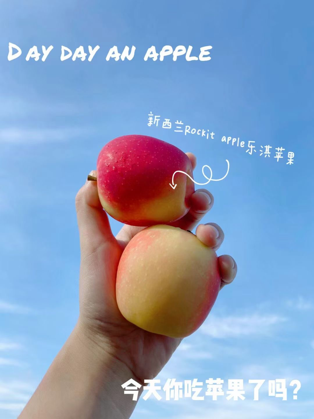 小苹果助手官网手机版ios版(小苹果助手官网手机版ios版下载)-第16张图片-有道翻译官网