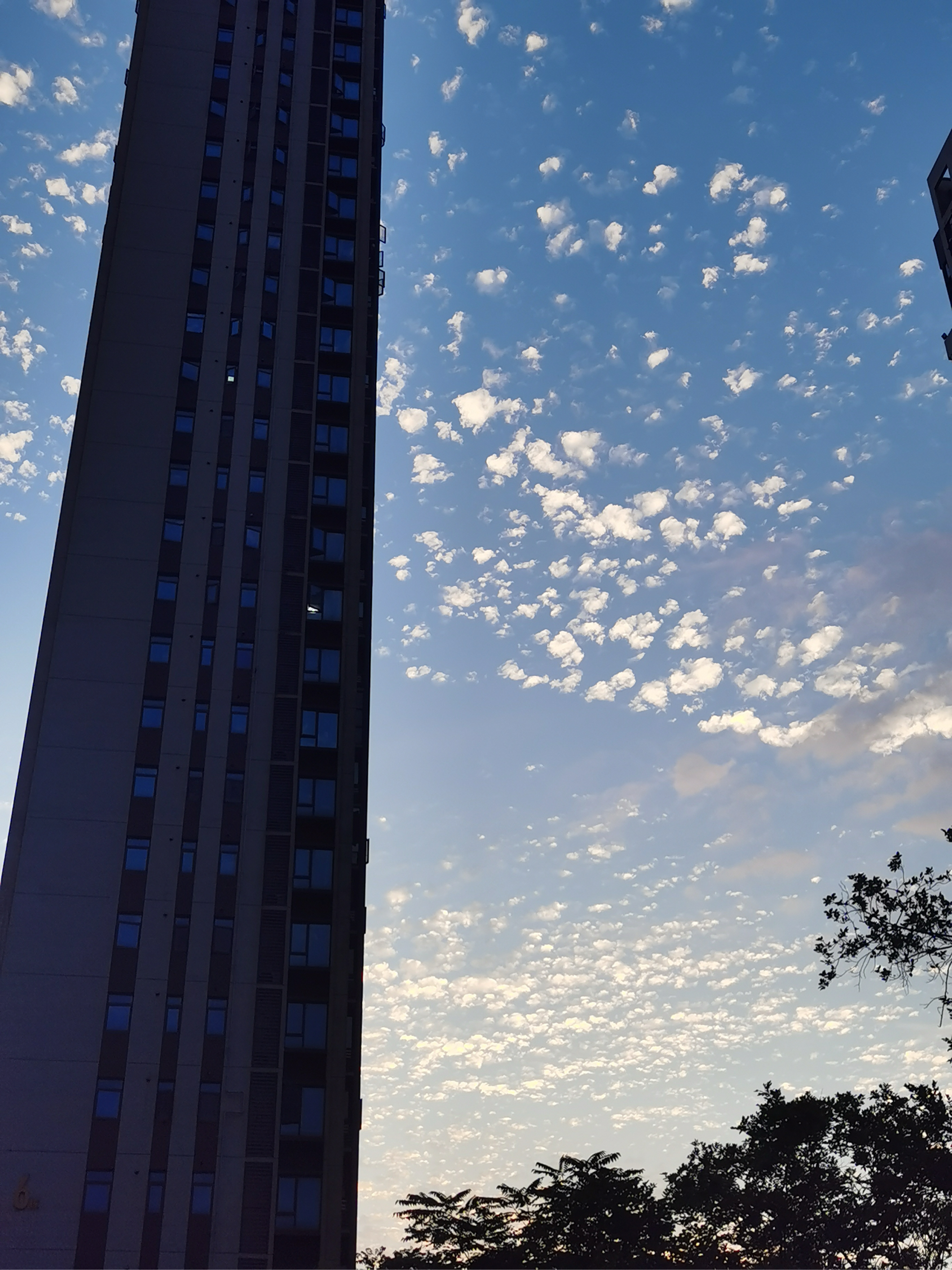 苹果十五普通版拍照(苹果15系统相机功能)-第8张图片-有道翻译官网