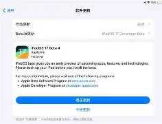 苹果系统内测版与公测版(苹果系统内测和公测有什么区别)-第5张图片-有道翻译官网