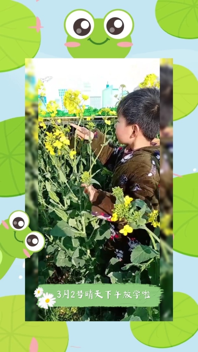 花贝贝app苹果版(深圳市花贝贝商贸有限公司)